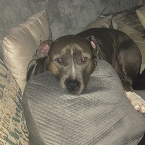 Meet your Posher, La Mama